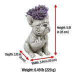 Grumpy French Bulldog Resin Planter