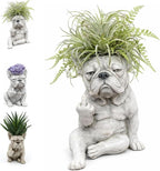 Grumpy French Bulldog Resin Planter