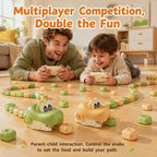 Remote Control Magnetic Snake Challenge Toy