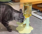 Adjustable Elevated Cat Water Dispenser with Bottle