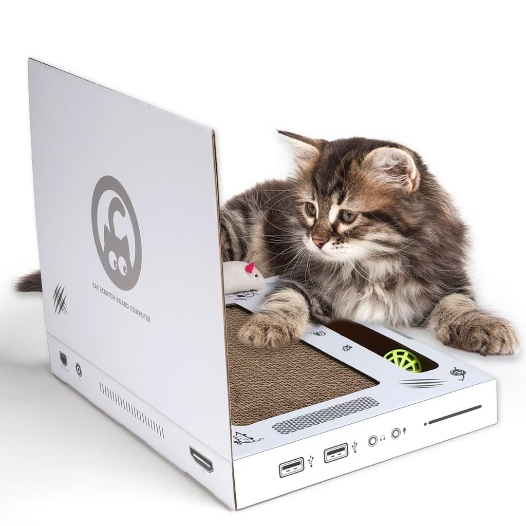 Laptop Shaped Interactive Cat Scratcher