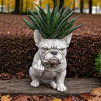 Grumpy French Bulldog Resin Planter